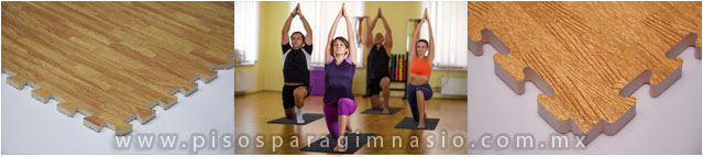 PISOS PARA GIMNASIO GRIZZLY MAT PISOS PARA GIMNASIO PISOS PARA GIMNASIO GRIZZLY MAT PISOS PARA GIMNASIO